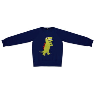 Kids Dinosaur Sweatshirt