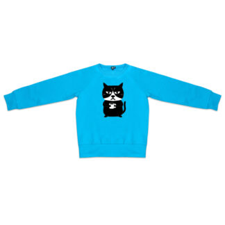 Kids Blue Grumpy Cat Sweatshirt